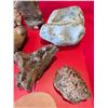 Image 4 : BONZIA BASES & ROCKS