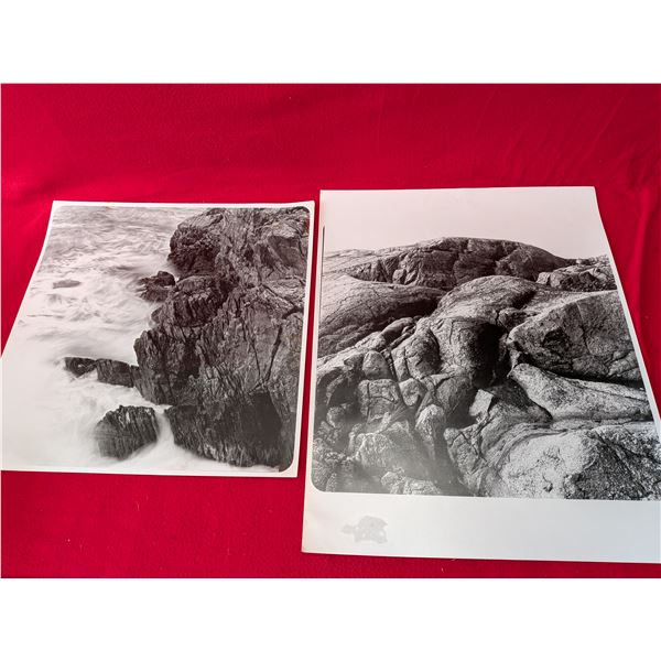 VINTAGE SEASIDE PHOTOGRAPHS