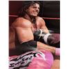Image 2 : BRET "HIT MAN" HART