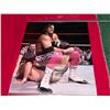 Image 3 : BRET "HIT MAN" HART