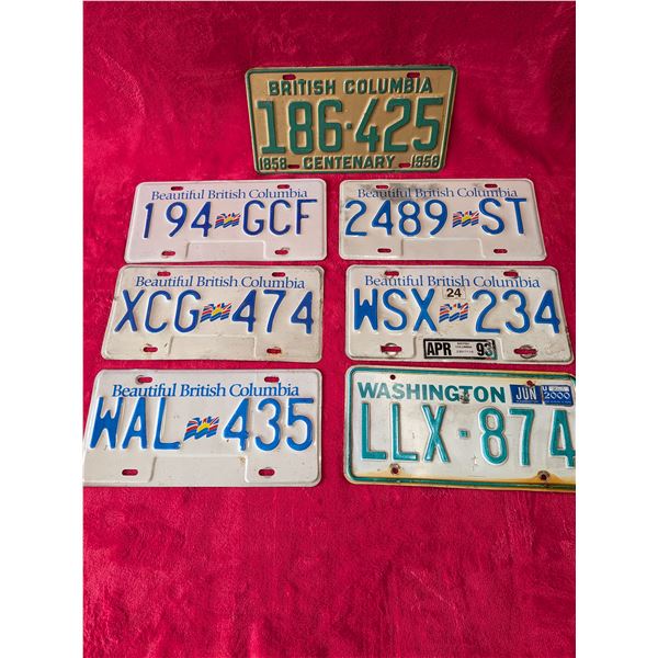 VINTAGE LICENSE PLATES
