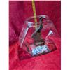 Image 4 : BONZIA TERARIUM
