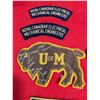 Image 4 : VINTAGE PATCHES, BABY BOXING GLOVES & MT ROBSON Belt Buckle