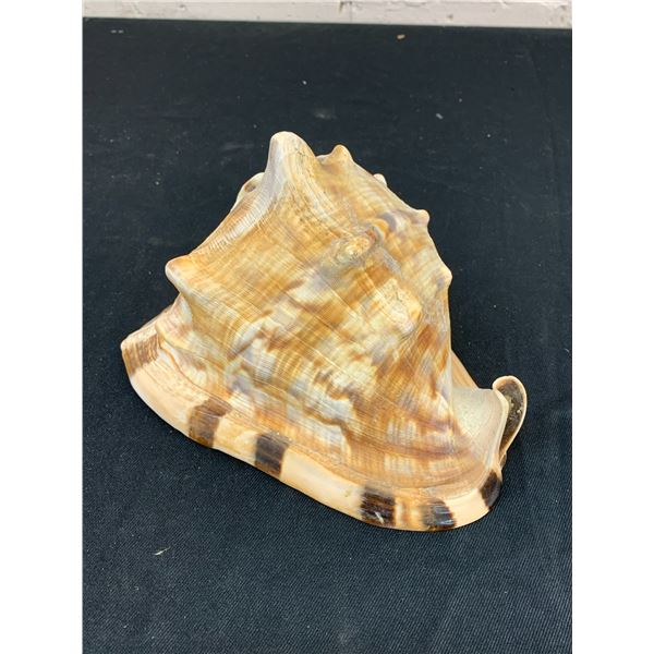 Helmet Shell