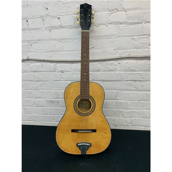 Raven Guitars A101-T