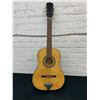 Image 1 : Raven Guitars A101-T