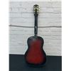 Image 4 : Raven Guitars A101-T