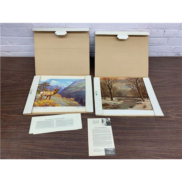 Lot of Lithographs "Monarchs of the Canadian Wilds" by Clarence Tillenius (various sets)