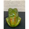 Image 4 : Ceramic Pottery Class Soap Frog