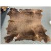 Image 1 : Buffalo Skin Rug 5ft x 5ft