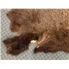 Image 2 : Buffalo Skin Rug 5ft x 5ft
