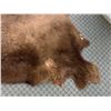 Image 5 : Buffalo Skin Rug 5ft x 5ft