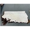 Image 6 : Buffalo Skin Rug 5ft x 5ft