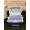 Image 2 : Wastebasket and Cooler