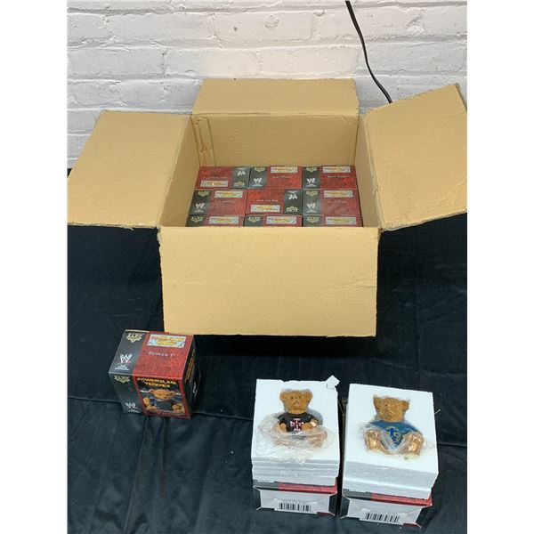 Lot of 15 2003 WWE Power Slam Teddies, New in Box, All Different