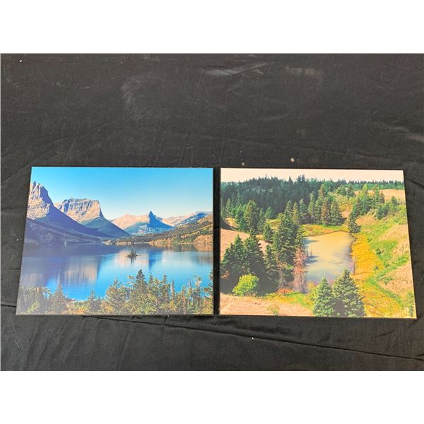 Lot of 2 Woodboard Photo Prints Landscapes 11" x 14"