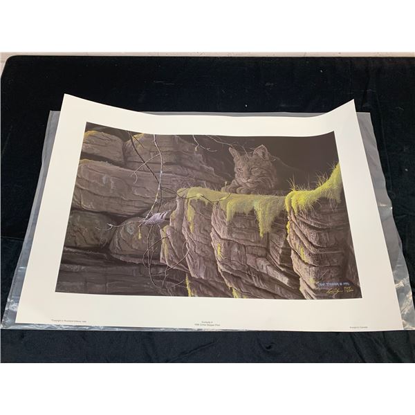 Curiosity II Rob Tribiger Artist Signed and Numbered Print 1994 32" x 22"
