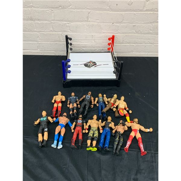 Wrestling Action Figures and Ring WWE WWF Jakks, Mattel, etc