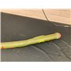 Image 4 : Didgeridoo