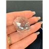 Image 4 : Swarovski Crystal Clamshell