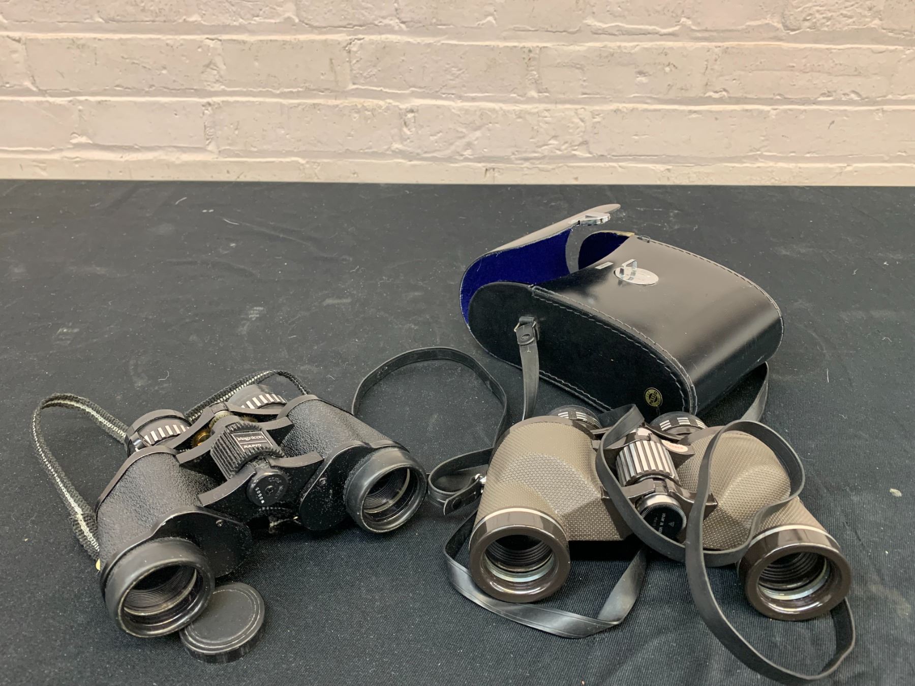 Magnicon and Skyline Binoculars