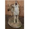 Image 3 : Life-sized "Howling" COYOTE on a Natural Base