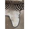 Image 4 : ZEBRA Hide or ZEBRA HIDE RUG with Carpet Backing and Leather Piping