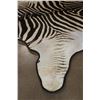 Image 5 : ZEBRA Hide or ZEBRA HIDE RUG with Carpet Backing and Leather Piping