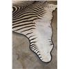 Image 6 : ZEBRA Hide or ZEBRA HIDE RUG with Carpet Backing and Leather Piping
