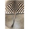 Image 7 : ZEBRA Hide or ZEBRA HIDE RUG with Carpet Backing and Leather Piping