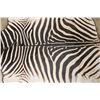 Image 9 : ZEBRA Hide or ZEBRA HIDE RUG with Carpet Backing and Leather Piping