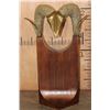 Image 1 : XL Collectible 1980s "Dolbi Cashier" Solid BRONZE RAM HEAD on a Hand-carved Wood Base