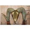 Image 5 : XL Collectible 1980s "Dolbi Cashier" Solid BRONZE RAM HEAD on a Hand-carved Wood Base