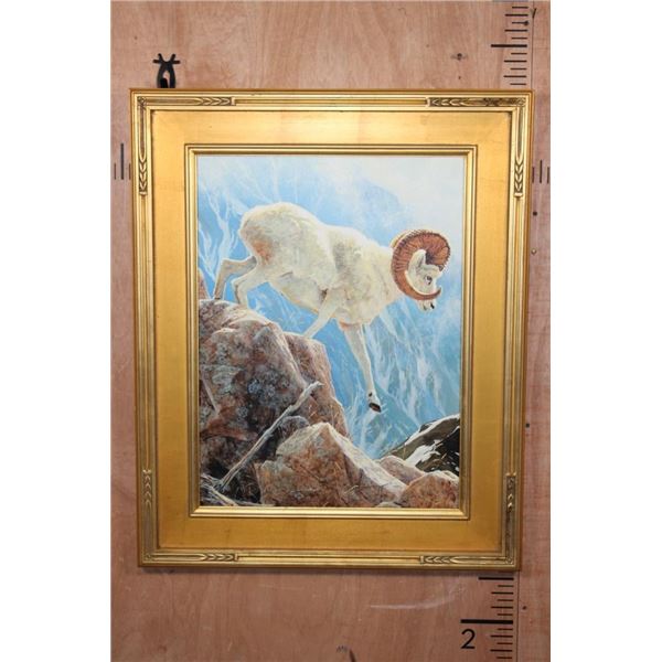 "Dall Sheep" Giclee Signed and Numbered #4/200 by artist Jan Martin McGuire
