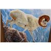 Image 3 : "Dall Sheep" Giclee Signed and Numbered #4/200 by artist Jan Martin McGuire
