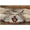 Image 2 : Double Felted LYNX HIDE or LYNX RUG with its Mounted Head