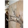 Image 2 : XXL MULE DEER Shoulder Mount with 3rd Main Beam