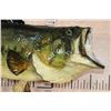 Image 3 : XL *Real Skin* LARGE MOUTH BASS Fish Mount on a Wood Plaque