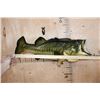 Image 6 : XL *Real Skin* LARGE MOUTH BASS Fish Mount on a Wood Plaque