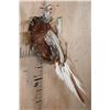 Image 3 : Flying ALASKAN SNOW PHEASANT on a Wall Plaque