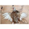 Image 5 : Flying ALASKAN SNOW PHEASANT on a Wall Plaque