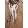 Image 6 : Flying ALASKAN SNOW PHEASANT on a Wall Plaque