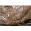 Image 8 : Original "The Sentinel" Bronze Sculpture Signed by Roger Martin and Numbered #5/30