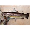 Image 4 : 3 Reproduction BROWN TROUT on a Decorative Wall Hanging Base