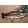 Image 6 : 3 Reproduction BROWN TROUT on a Decorative Wall Hanging Base
