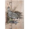 Image 2 : SAGE GROUSE Perched on a Decorative Wood Plaque
