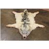 Image 1 : WOLF Hide or WOLF Rug with its Mounted Head and Double Felt