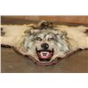 Image 2 : WOLF Hide or WOLF Rug with its Mounted Head and Double Felt