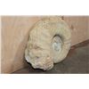 Image 3 : XXL AMMONITE Fossil Specimen, Weight: 28 lbs