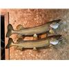 Image 2 : 2 *Real Skin* NORTHERN PIKE on a Wood Slice Display
